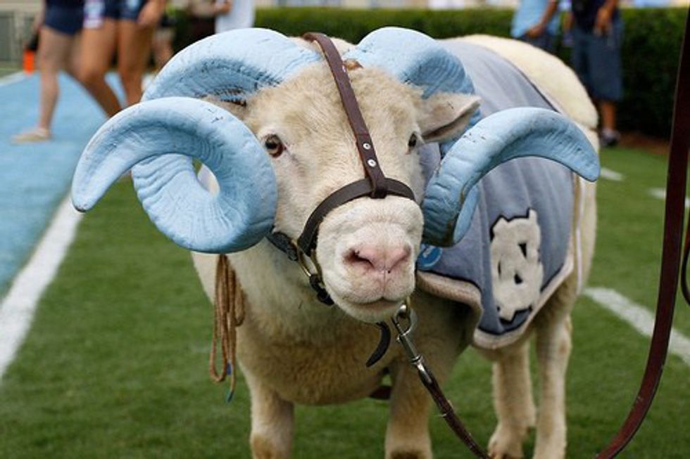 wait-what-s-a-tar-heel