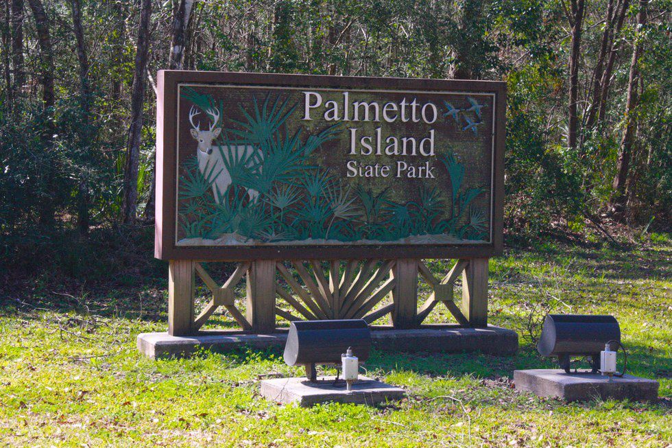 Escape to Louisiana's Hidden Gem: Palmetto Island State Park