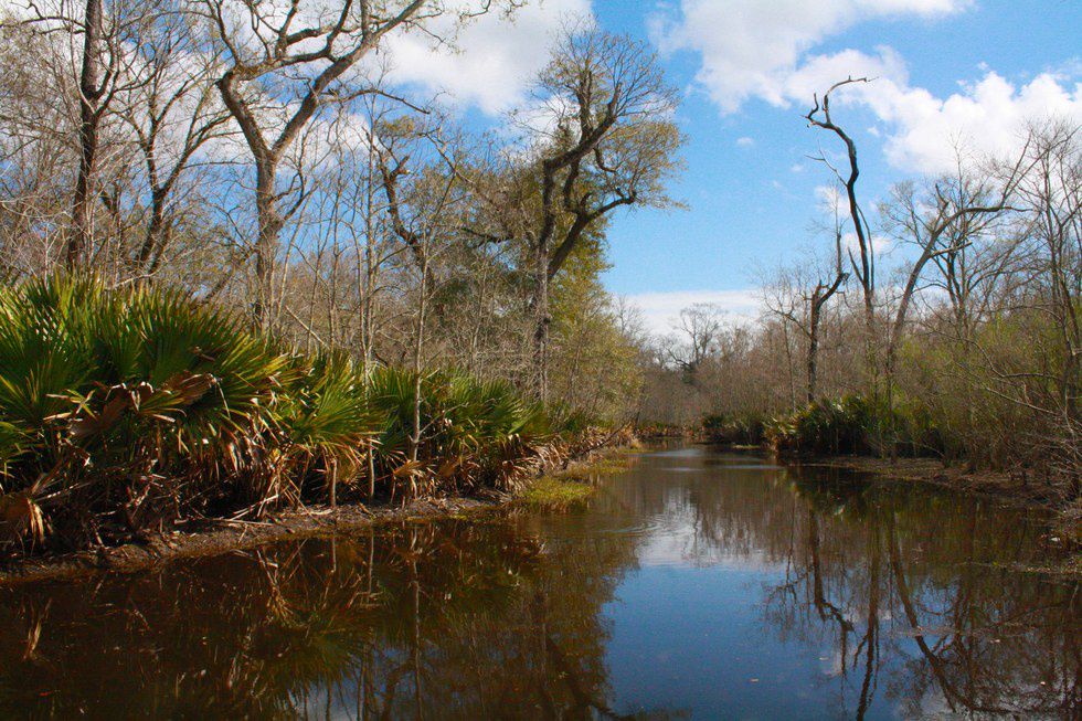 Escape To Louisiana’s Hidden Gem: Palmetto Island State Park