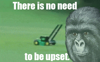 Https Encrypted Tbn0 Gstatic Com Images Q Tbn 3aand9gcr6ewqpgy5p9qkppexspde0zt7elgorg Mrsw Usqp Cau