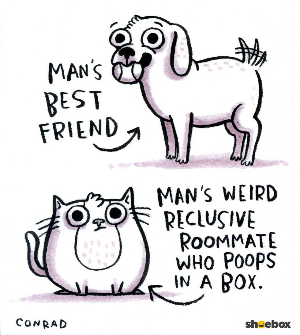 11 Reasons Why Dog People Are Better Than Cat People 11 Reasons Why Dog People Are Better Than Cat People