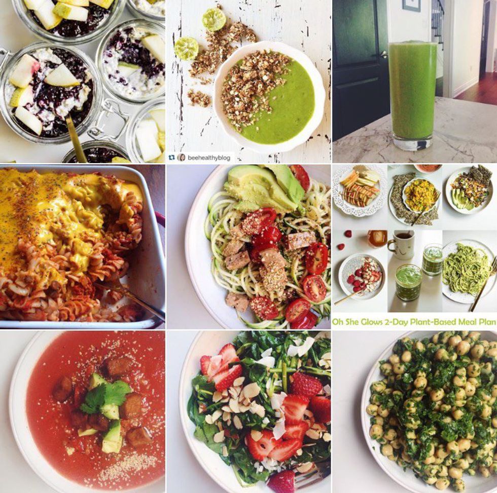 10 Vegan Instagram Accounts You Need To Follow Right Now