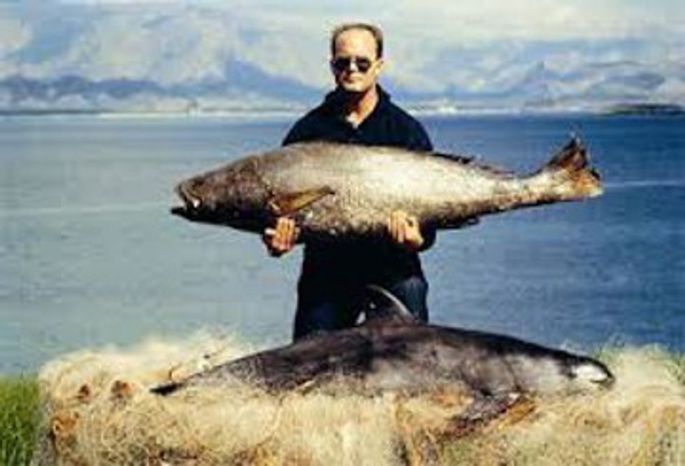 Endangered Species Spotlight: The Vaquita Porpoise's Last Stand