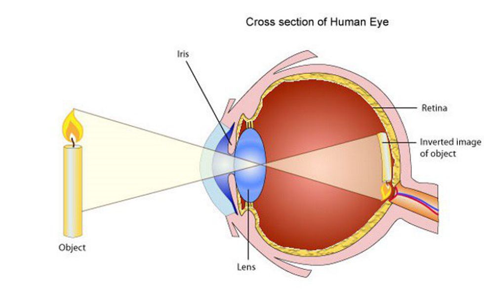 Свет попадает в глаз через. Хрусталик глаза строение и функции. Схема строения хрусталика.. Строение хрусталика глаза. Хрусталик глаза анатомия.