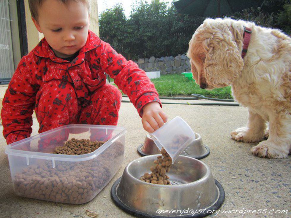 Why Pets Should Be Allowed in College Dorms