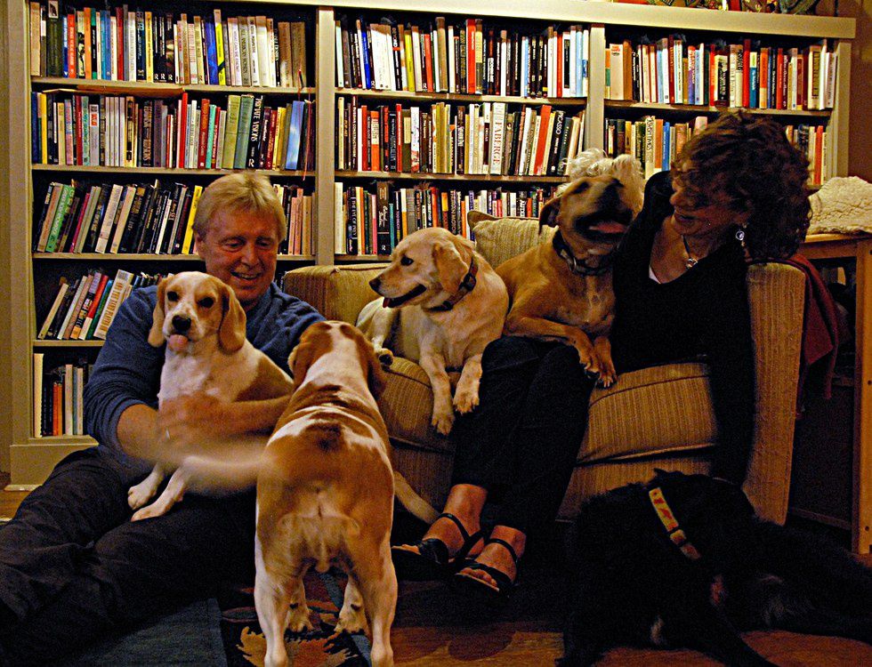 Why Pets Should Be Allowed in College Dorms