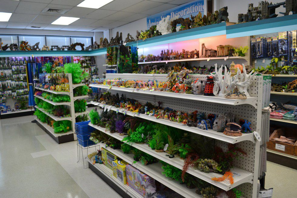 You Know You Work at a Pet Store When