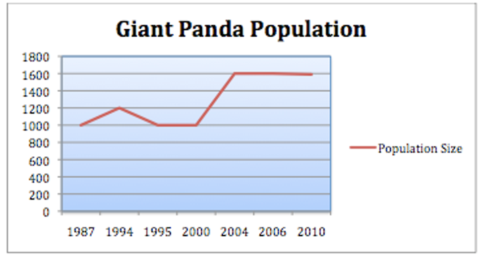 Fun Facts About Giant Pandas
