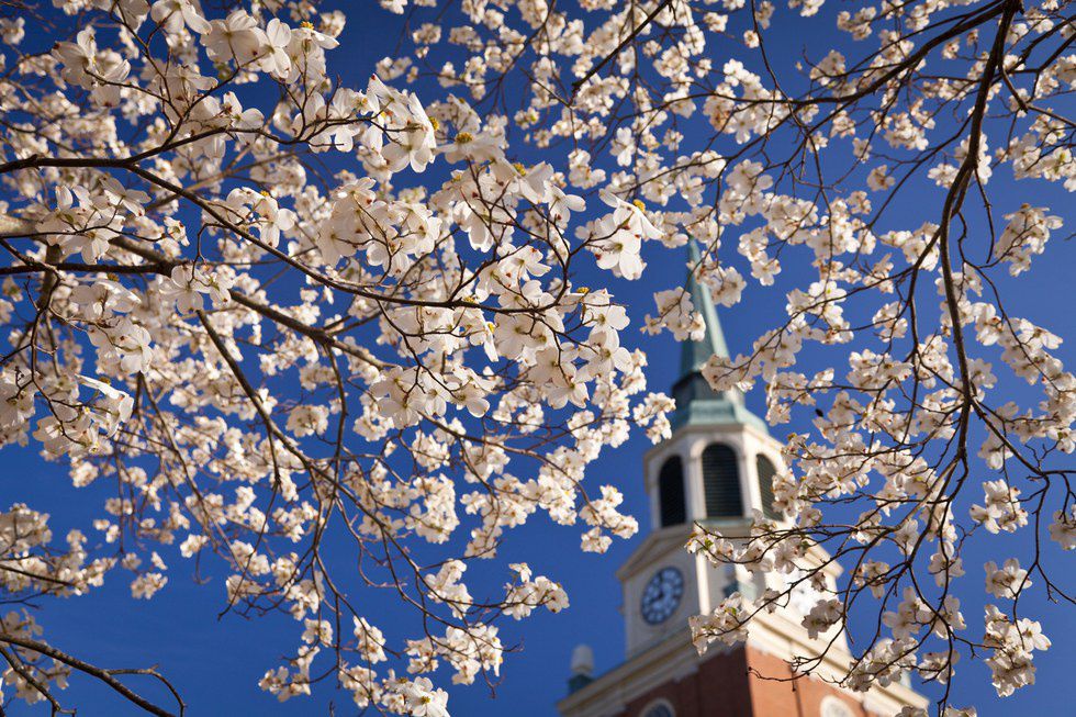 11 Reasons Why I Chose Wake Forest
