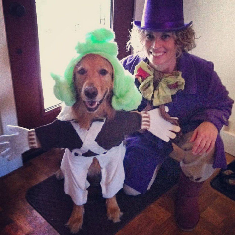 27 Of The Cutest Pet Halloween Costumes