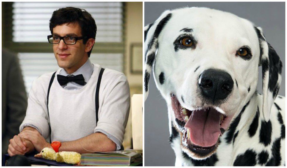 If "The Office" Characters Were Dogs