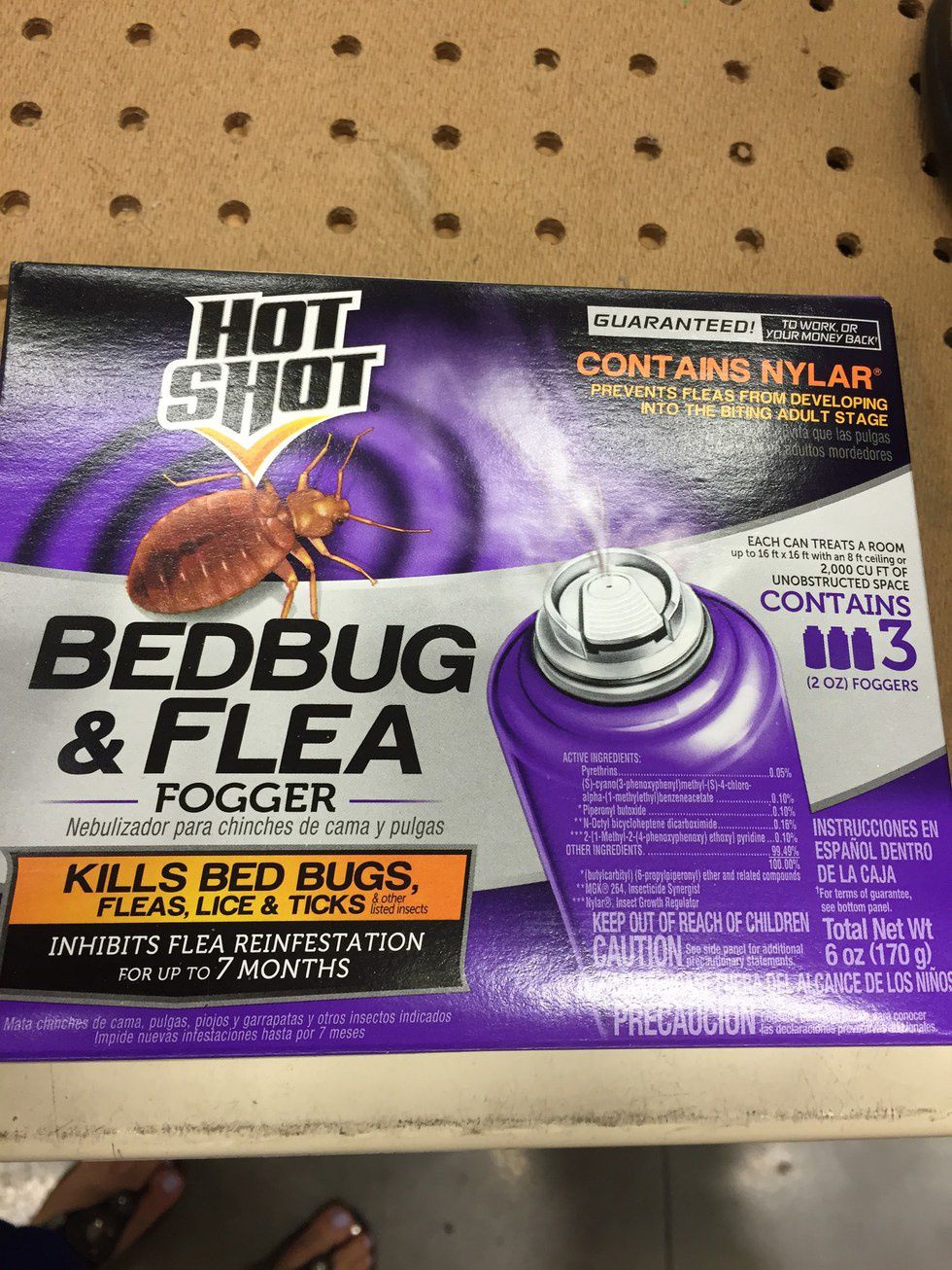 How To Deal With Bed Bugs