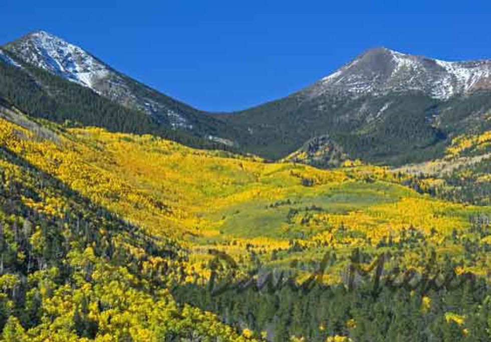 7 Best Things About Fall in Flagstaff