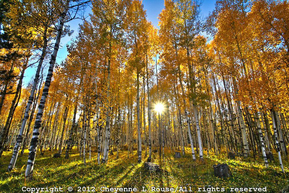 7 Best Things About Fall in Flagstaff