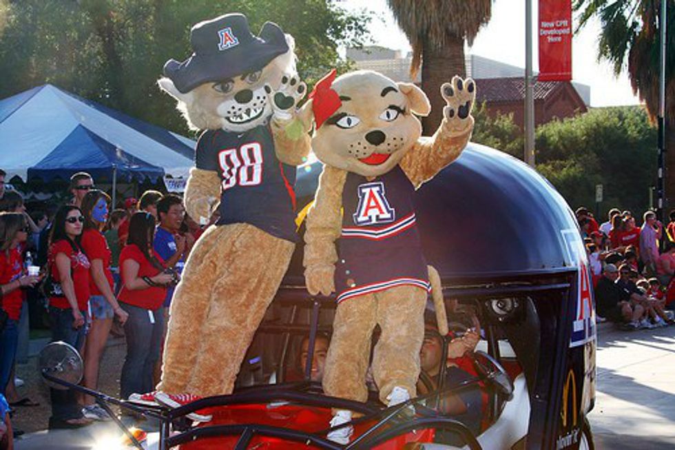 university of arizona mascots