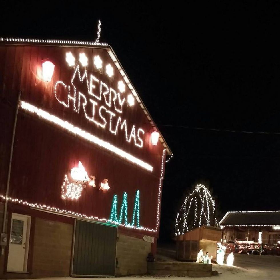 Places In Ohio That Have Great Christmas Light Shows For Great Causes