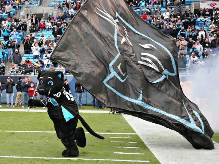 10 Reasons Why Being A Carolina Panthers Fan Rocks