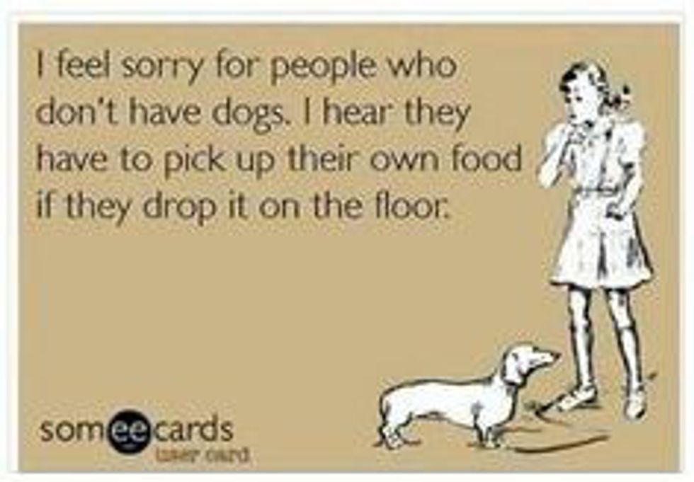 14 Reasons Why Dogs Are Better Than People