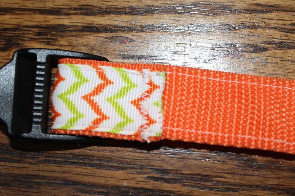 How To Make A DIY Dog Collar In 8 Easy Steps