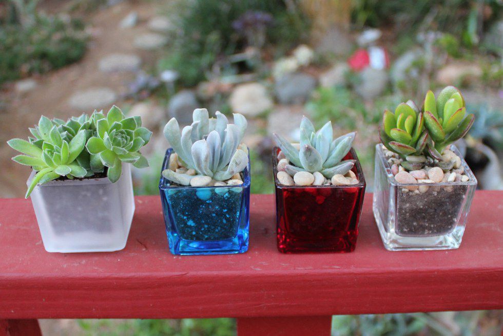 24 Hobbies To Help Relieve Stress 24 Hobbies To Help Relieve Stress