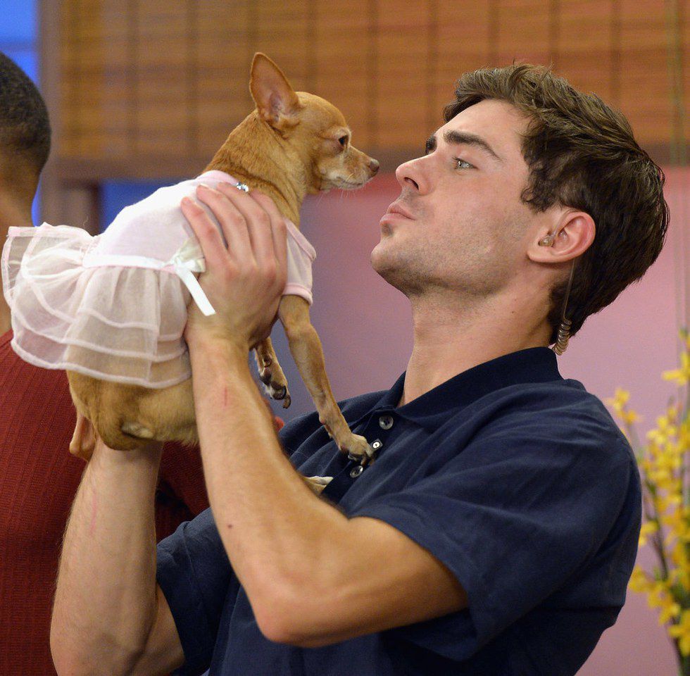 Men Holding Puppies To Make Your Day Better
