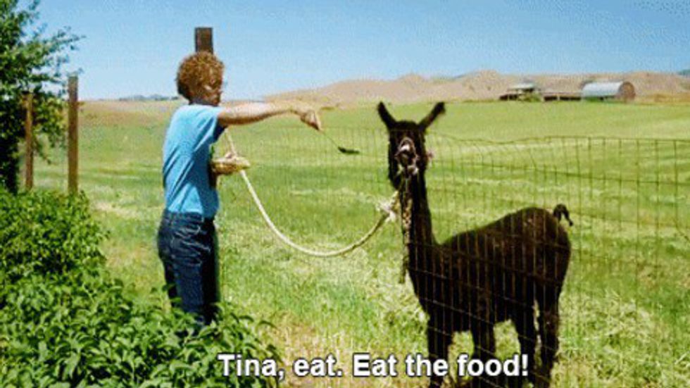 13 Things Napoleon Dynamite Got Right About Idaho