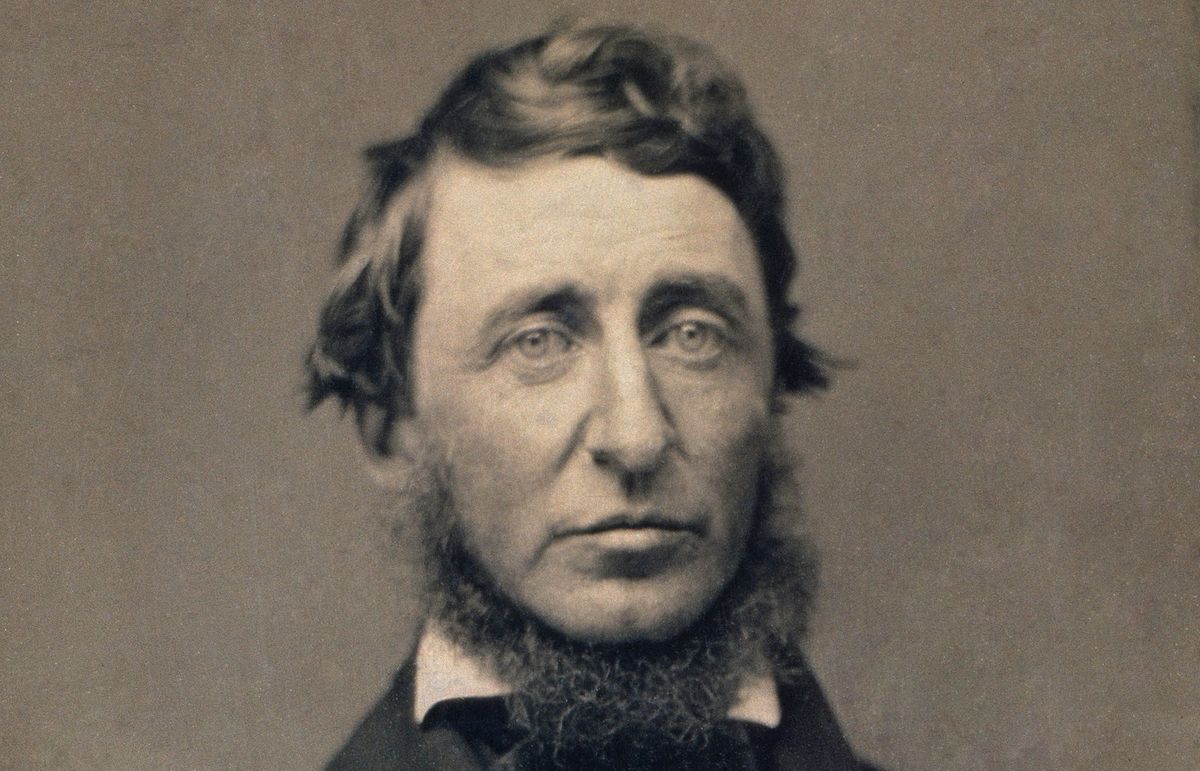 10 Transcendentalist Pop Songs Thoreau Would Jam Out To In The Woods By Walden Pond