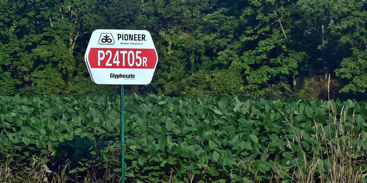 The Monsanto Papers, Part 1 — Operation: Intoxication