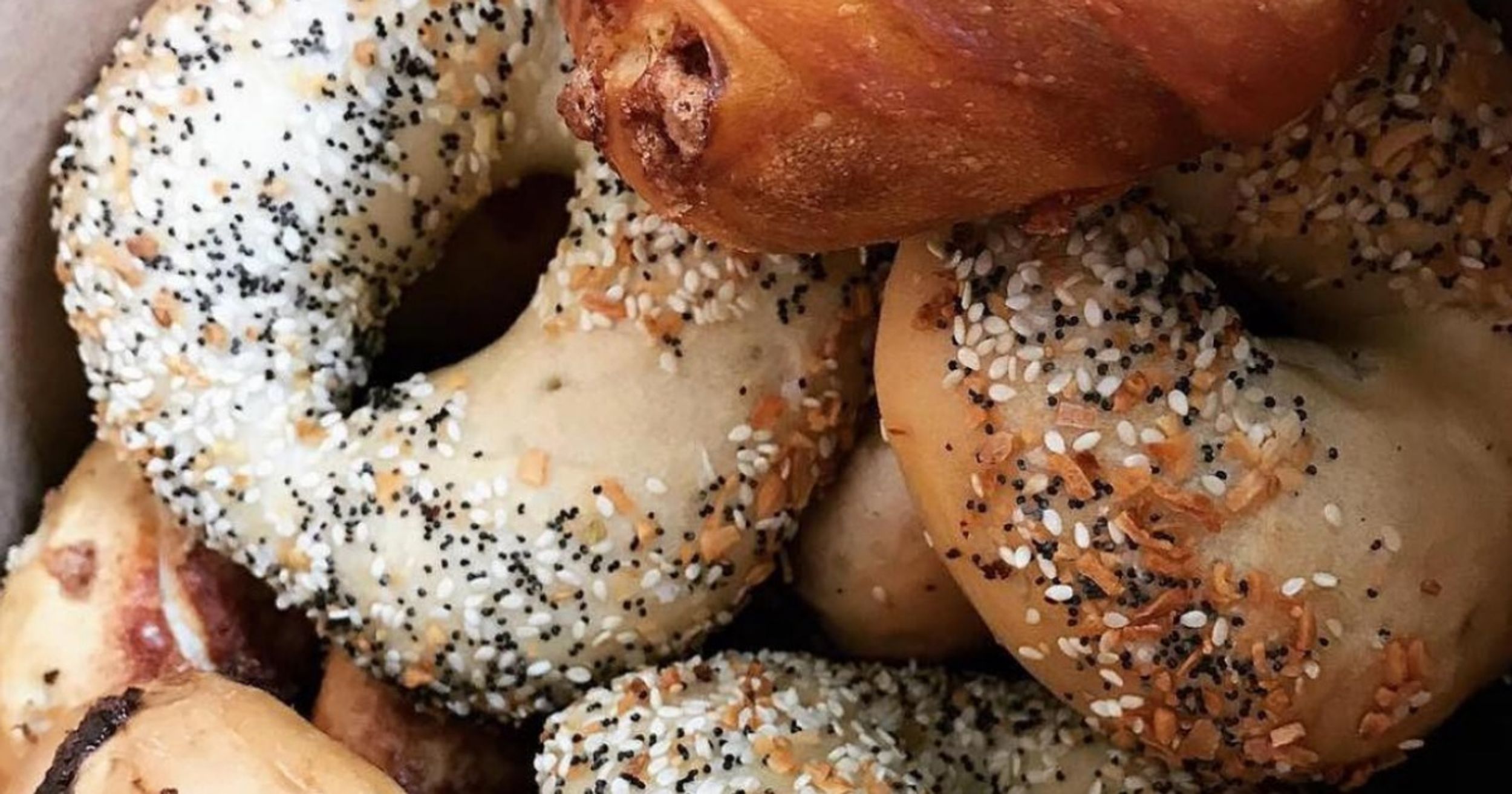 7 College Classes We've All Taken, As Told By Panera Bread Bagels
