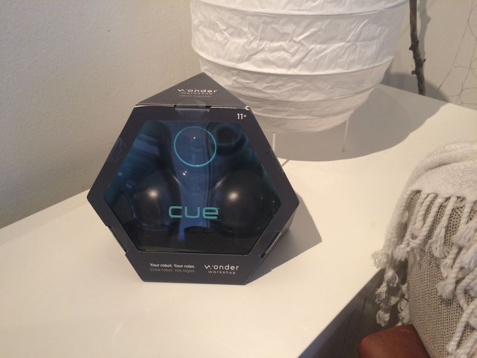 Top 7 Questions for the Award-Winning Cue Robot