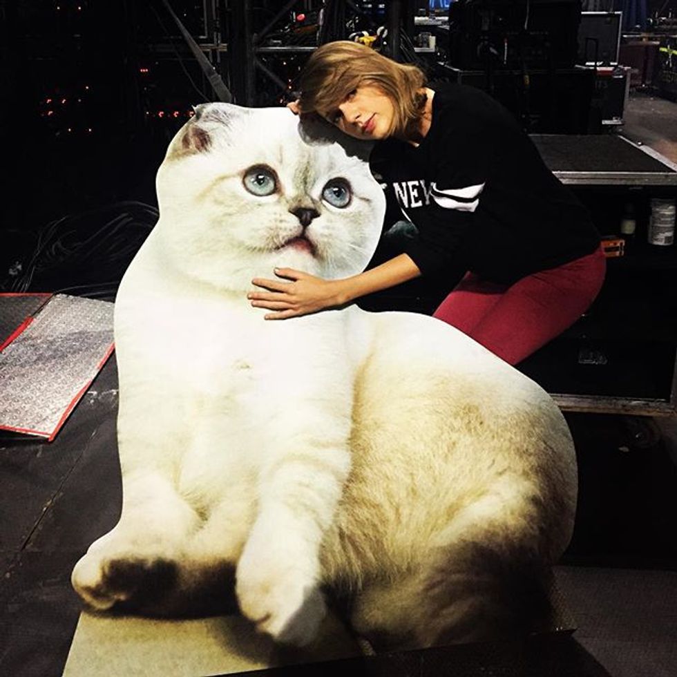 How We All Can Relate To Taylor Swift's Cats