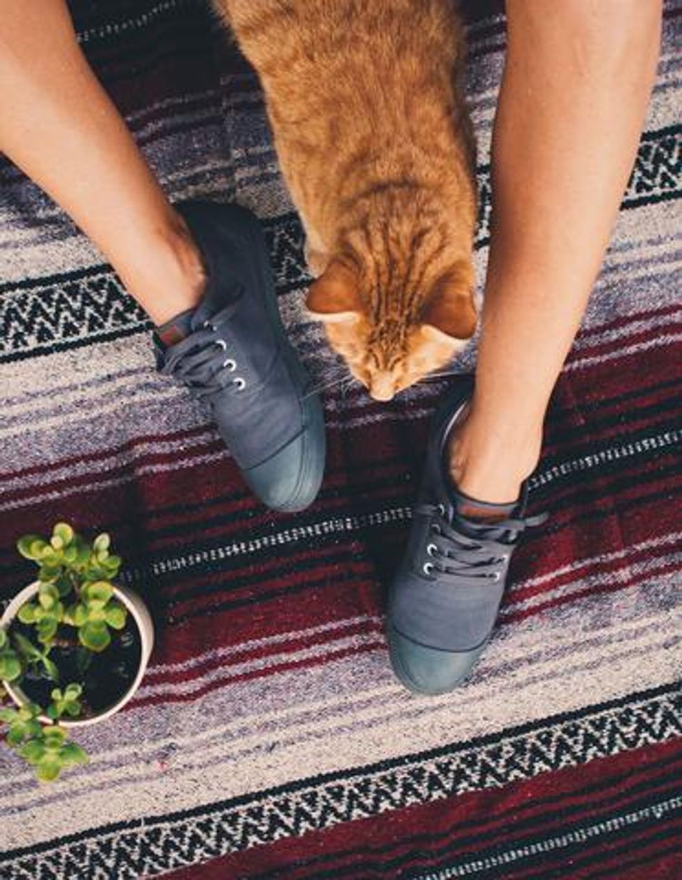 You Need A Pair Of BANGS Shoes In Your Life