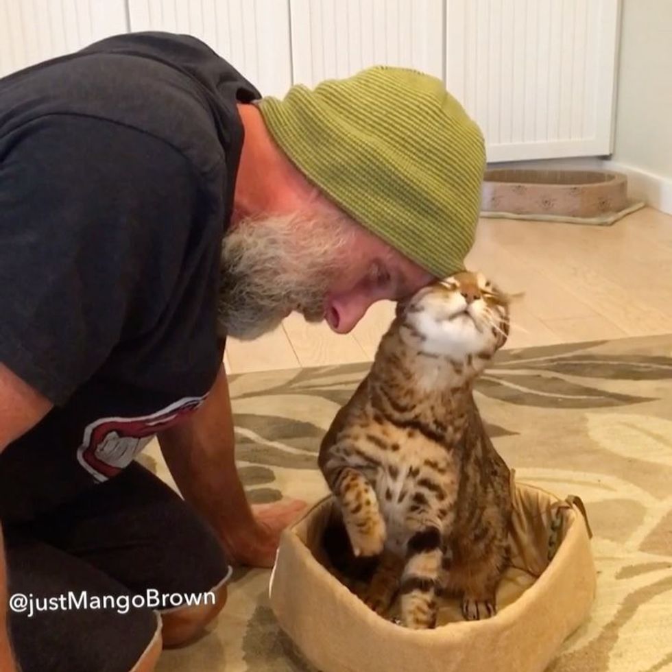 Cat Dad and His 'Son' Of 14 Years Share Incredible Bond In These ...