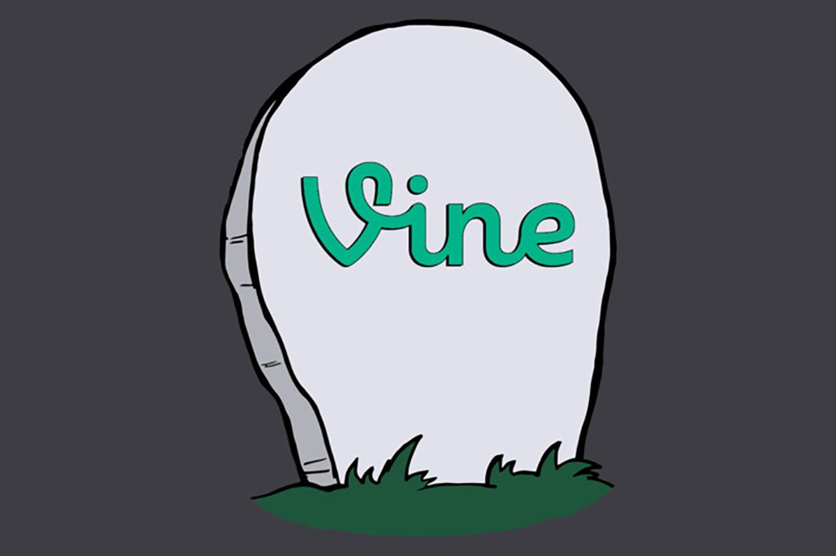 100 Of The Best Vines Of All Time