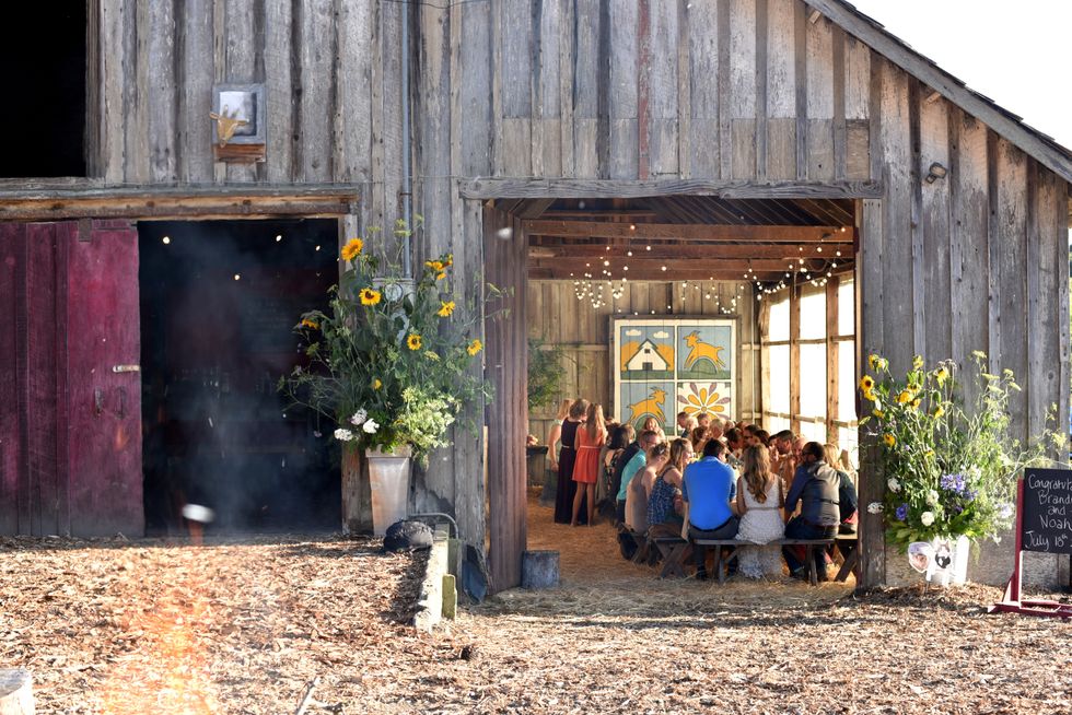 7 NorCal Farms That Serve the Freshest Dinners Ever - Vimarsana News