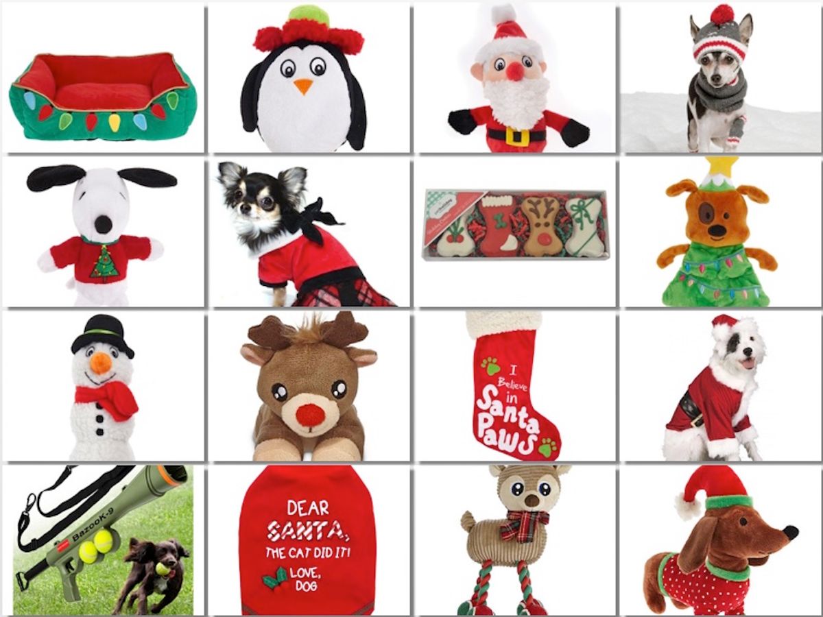 Christmas 2017: Best Presents For Your Dogs