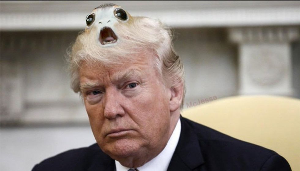 Donald Trump Poor Again