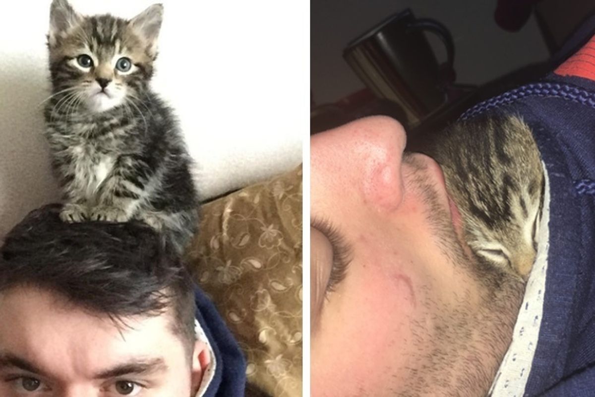 Man Gave Kitten a Home and The Kitty Replaced His Personal Space With Cuddles