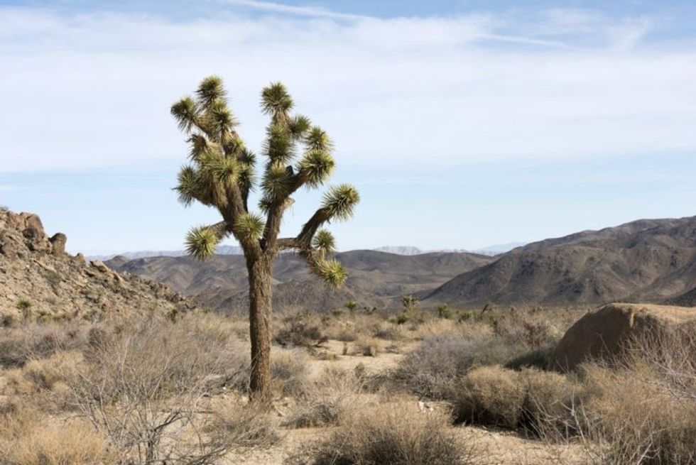 National Park Head In BIG TROUBLE With Ryan Zinke For Saying Climate Science Facts Out Loud