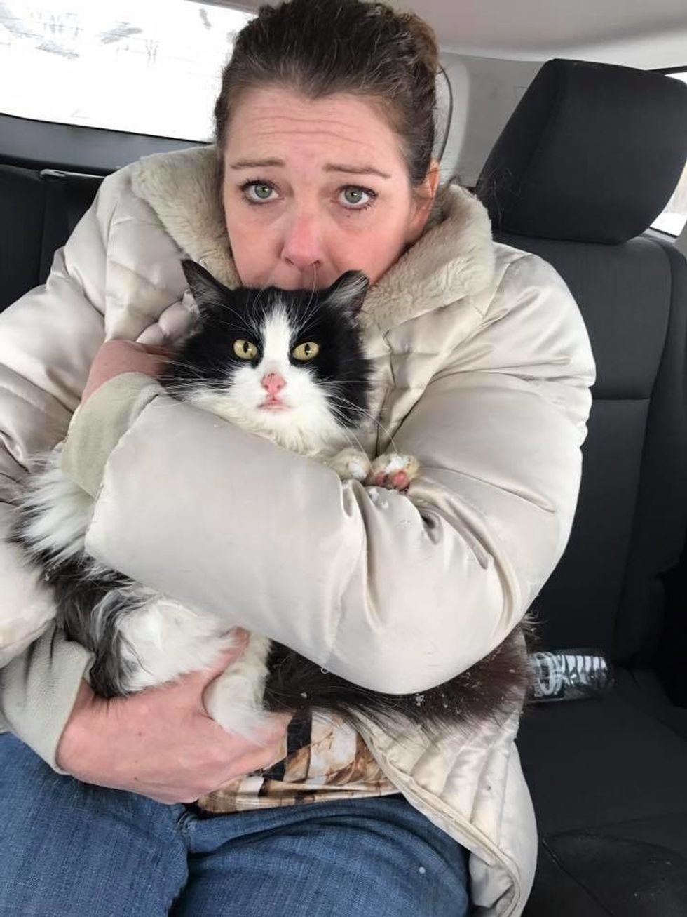 Cat Found in Snow is So Happy To be Saved She Can't Stop Thanking Her