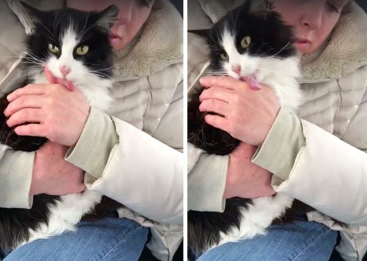 Overjoyed Feline Found in Snow Shows Endless Gratitude to Rescuers - Yeudon