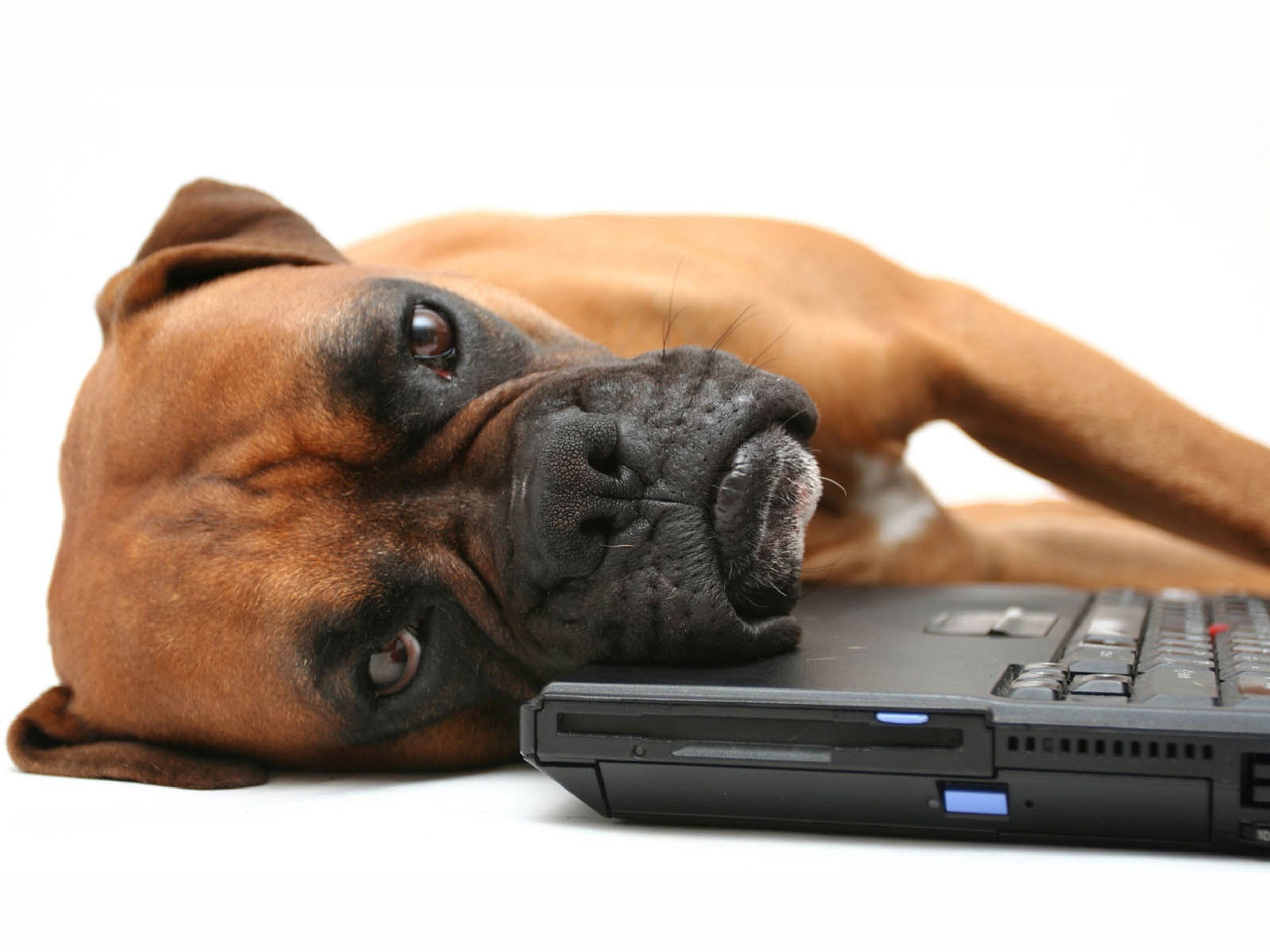 15 Websites To Help You Cure Your Boredom
