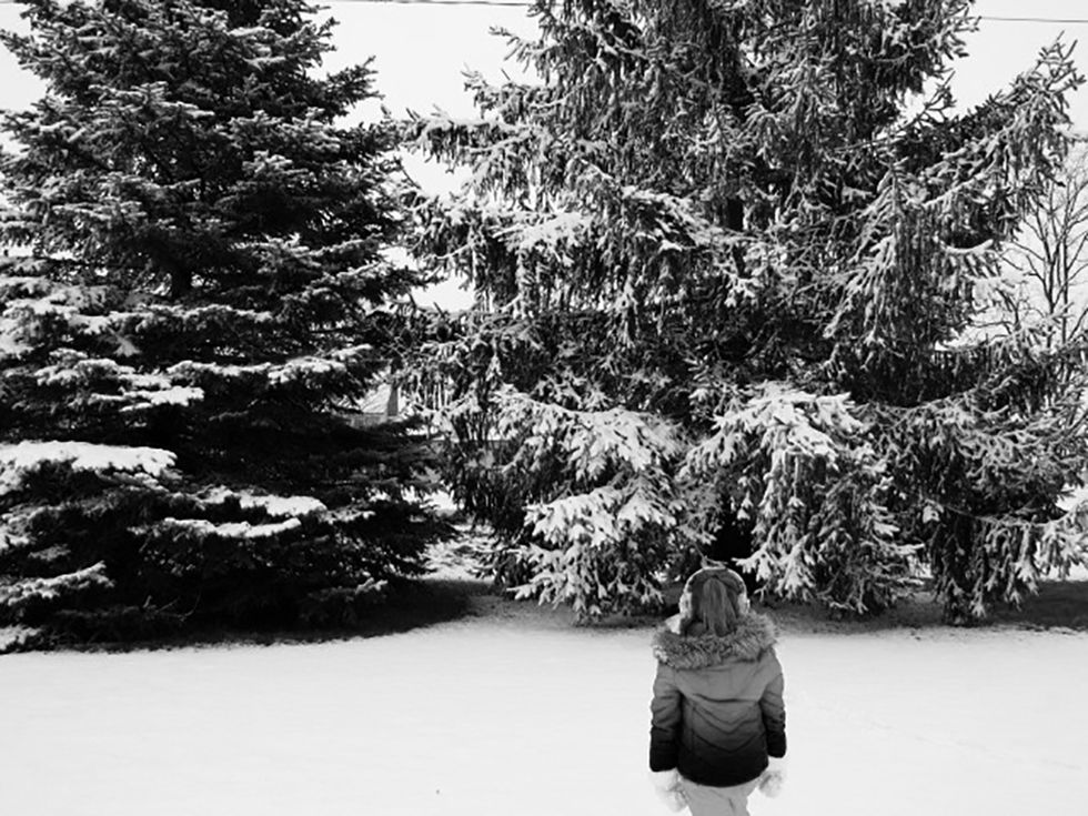 Description Essay: Winter - Words