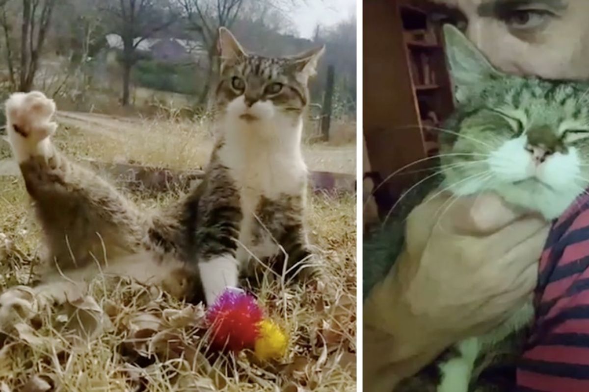 Wobbly Cat Given Up to Shelter Finds Someone Who Loves Him Just the Way He is.