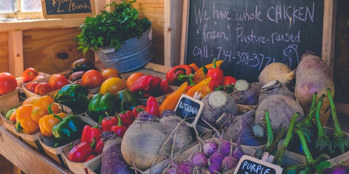 Commentary: Farming for a small planet