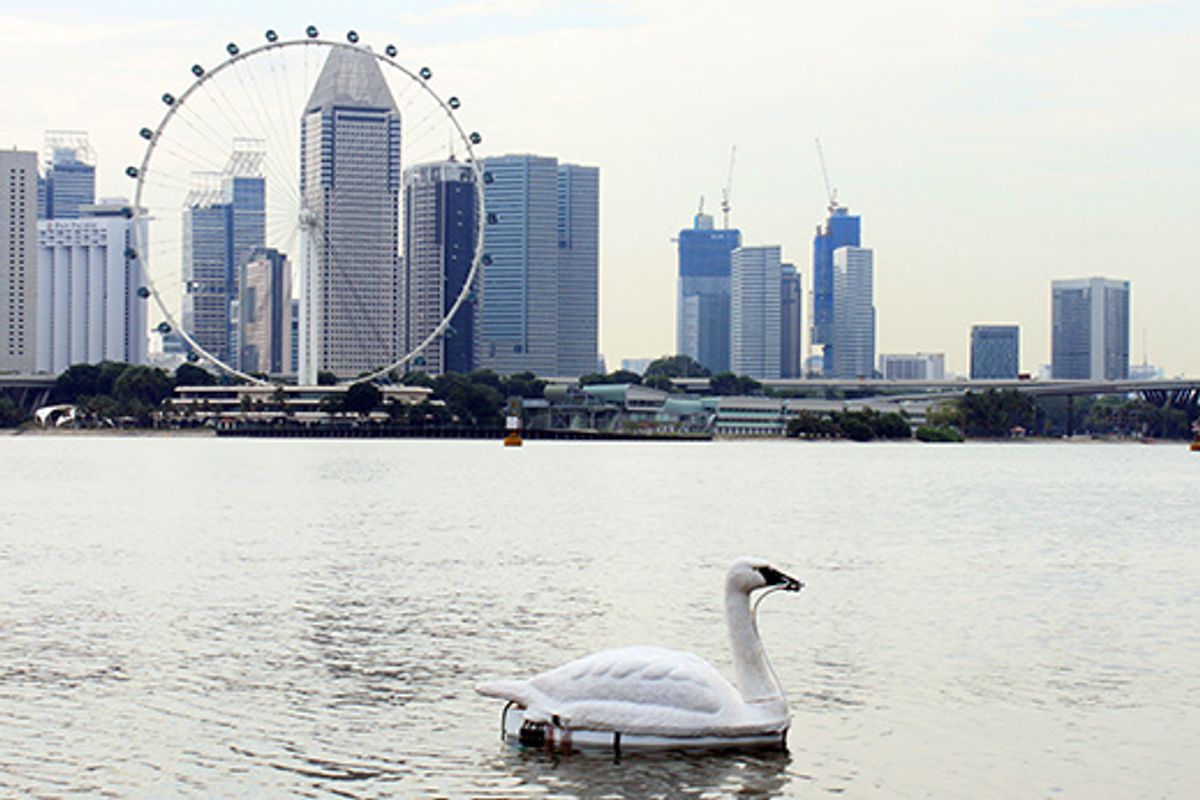 Robotic swans look pretty, and make sure the water's clean