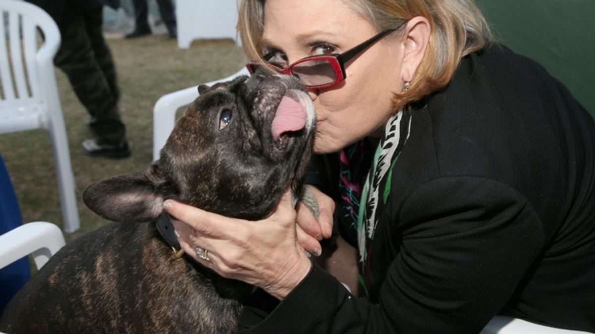 PHOTOS: Celebrities Honor Carrie Fisher's Birthday, Including Her Loyal Dog