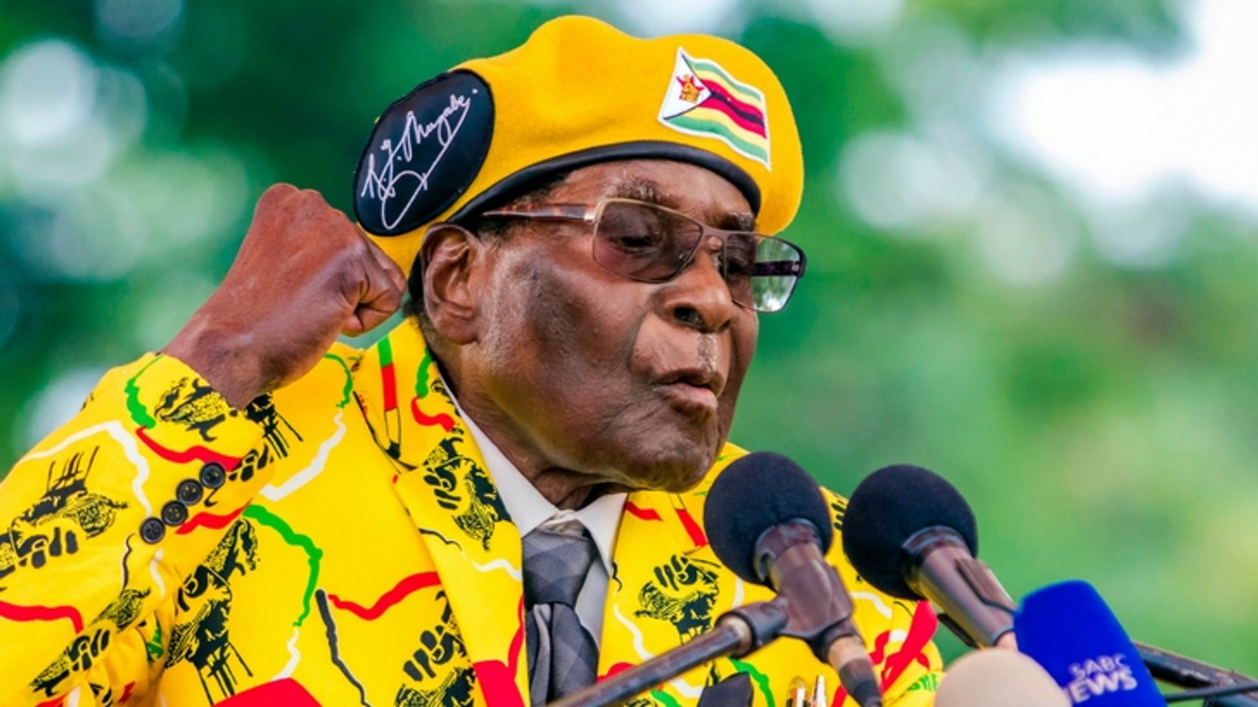 Zimbabwe Ruling Party Ousts Leader Robert Mugabe