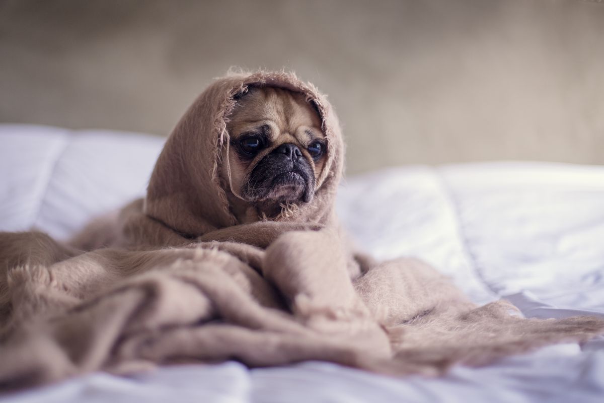 17 Songs That Will Make You Cry Until You Have No Tears Left For 2018