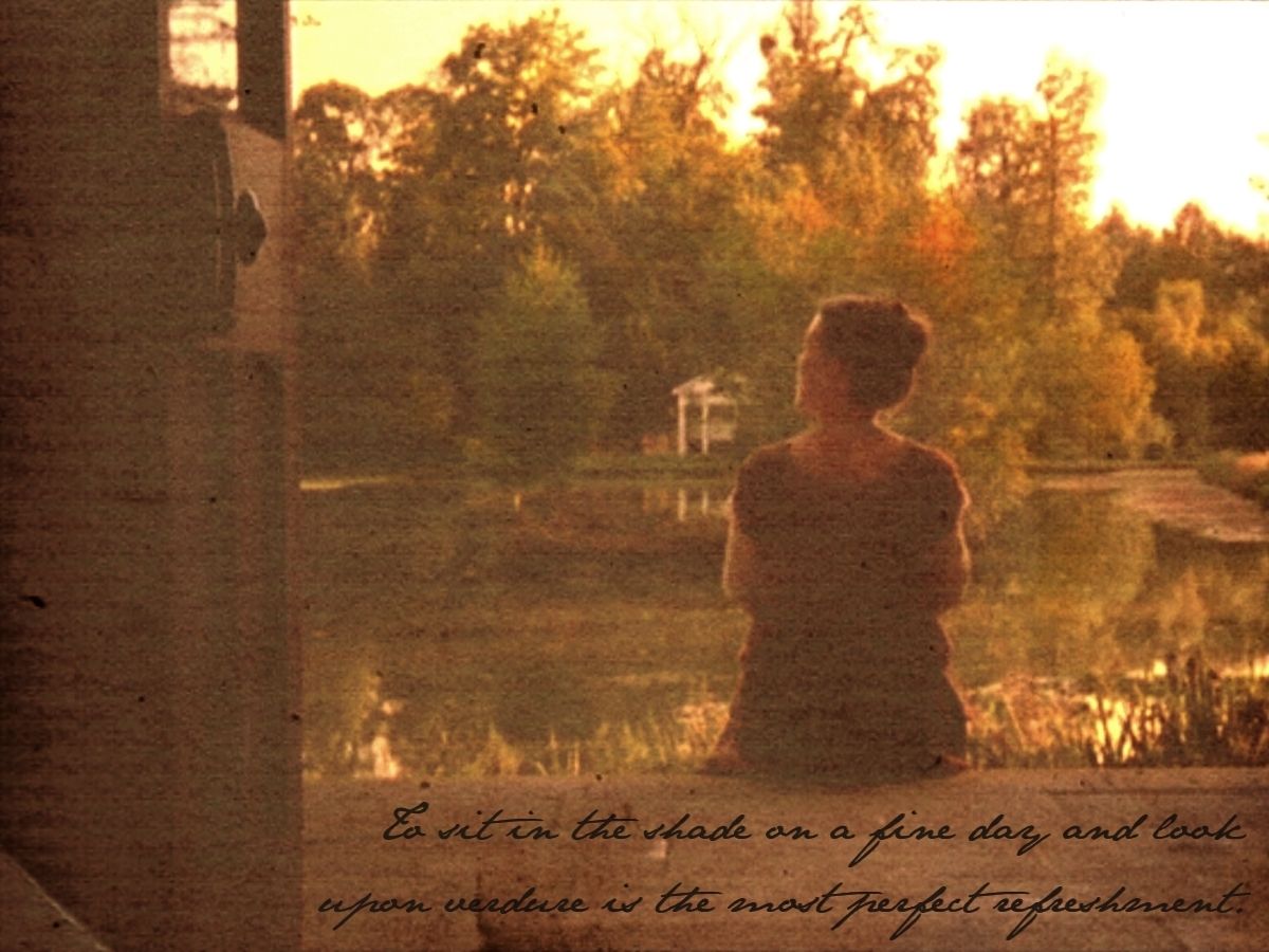 confessions of a jane austen addict confessions of a jane austen addict